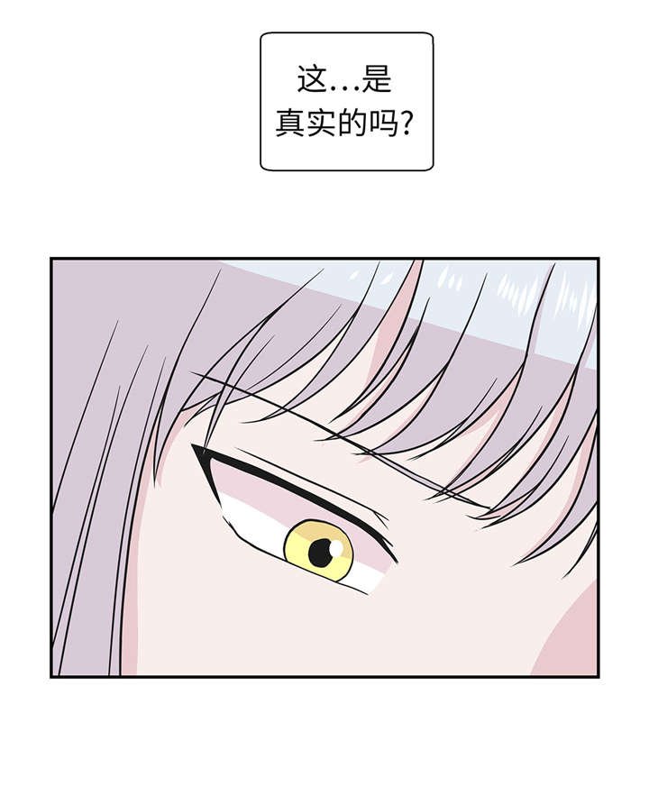 第52章： 被杀之前