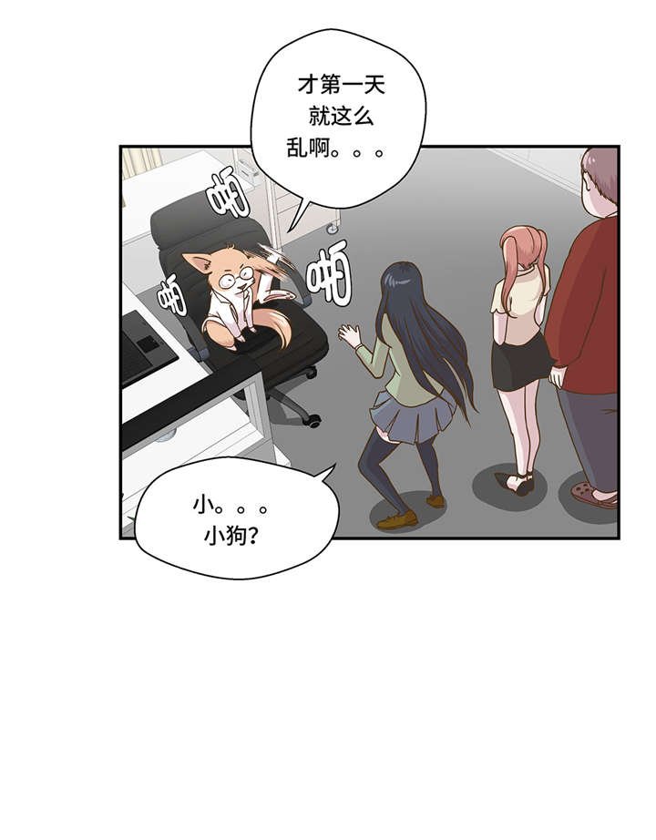 第6章： 被龙选中的人(上)