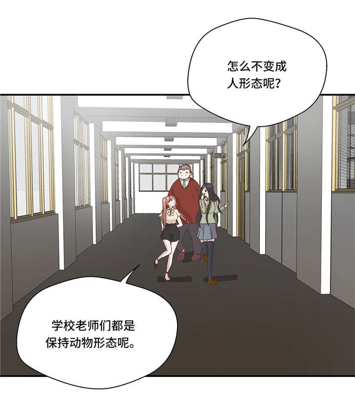 第6章： 被龙选中的人(上)