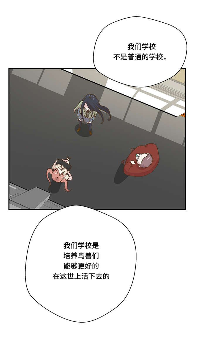 第6章： 被龙选中的人(上)