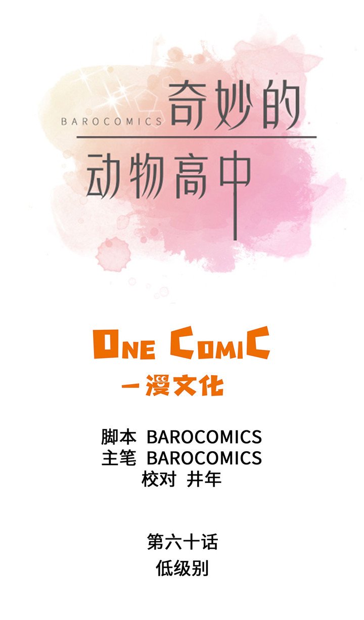 第60章：低级别