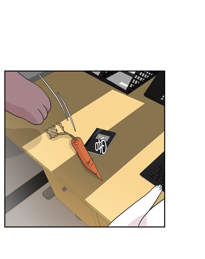 第61章：大萝卜