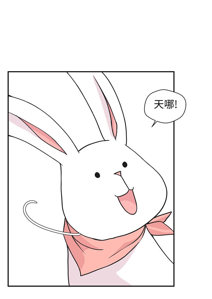 第61章：大萝卜