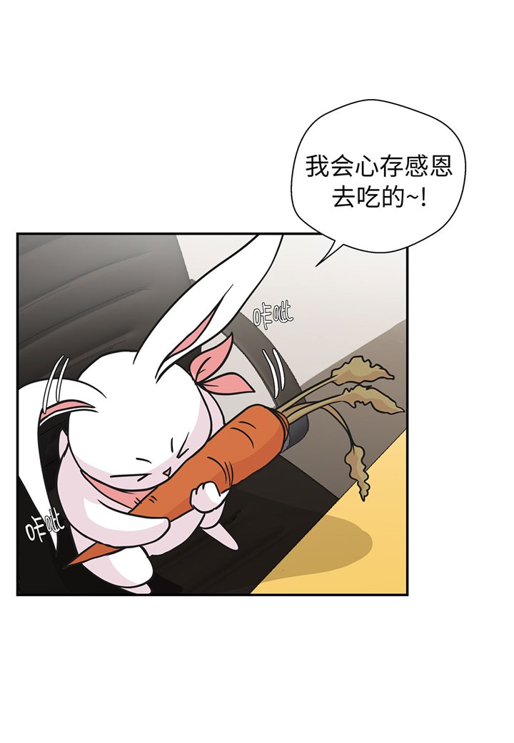 第61章：大萝卜