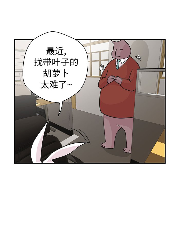 第61章：大萝卜