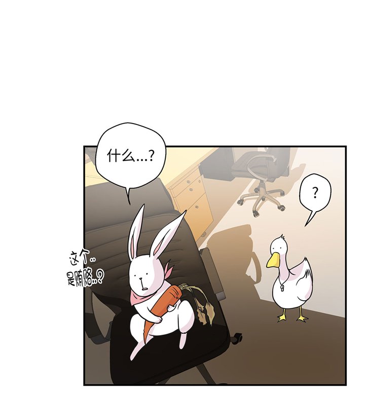 第61章：大萝卜