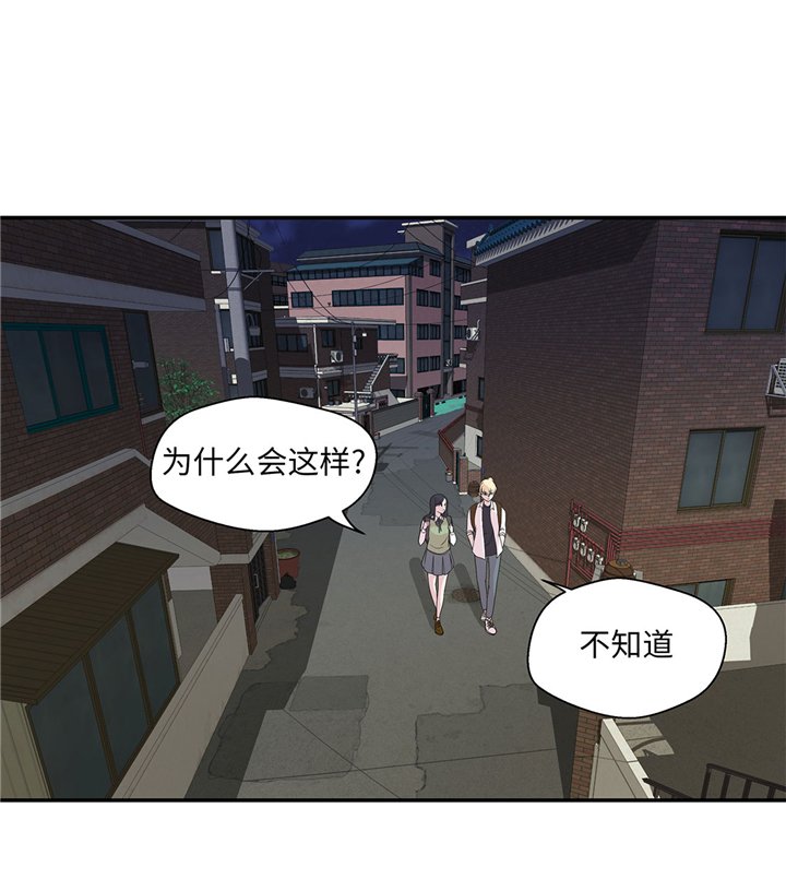 第61章：大萝卜