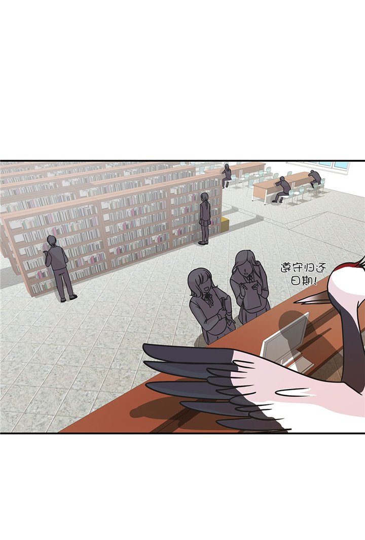 第62章：经费不足