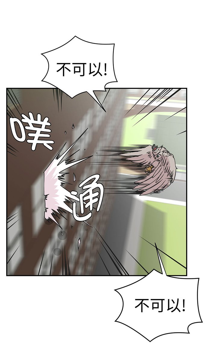 第66章：快下来