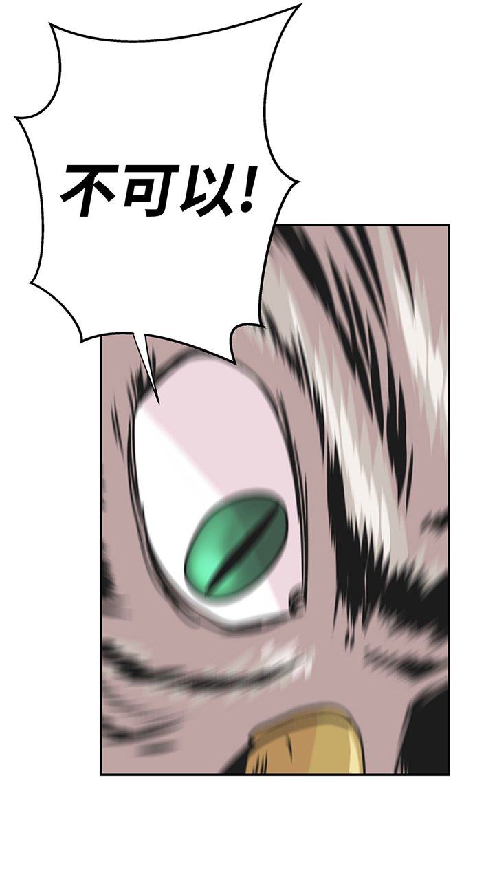 第66章：快下来