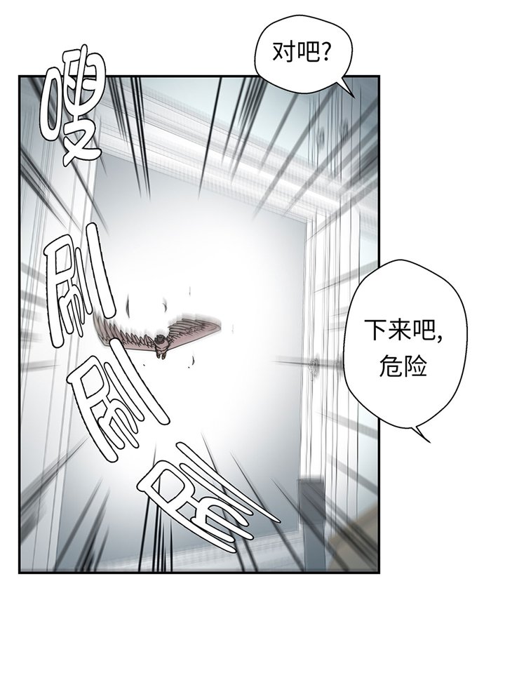 第66章：快下来