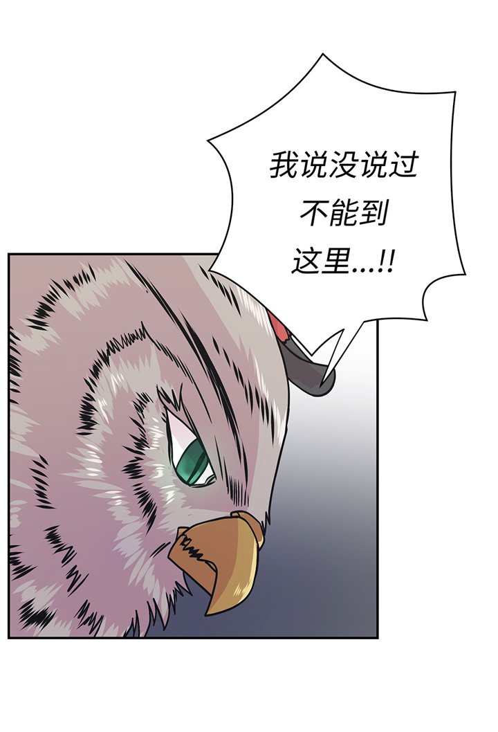 第67章：摔倒