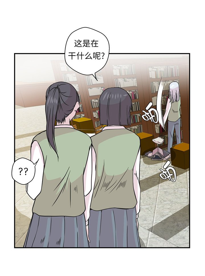 第72章：龙的力量