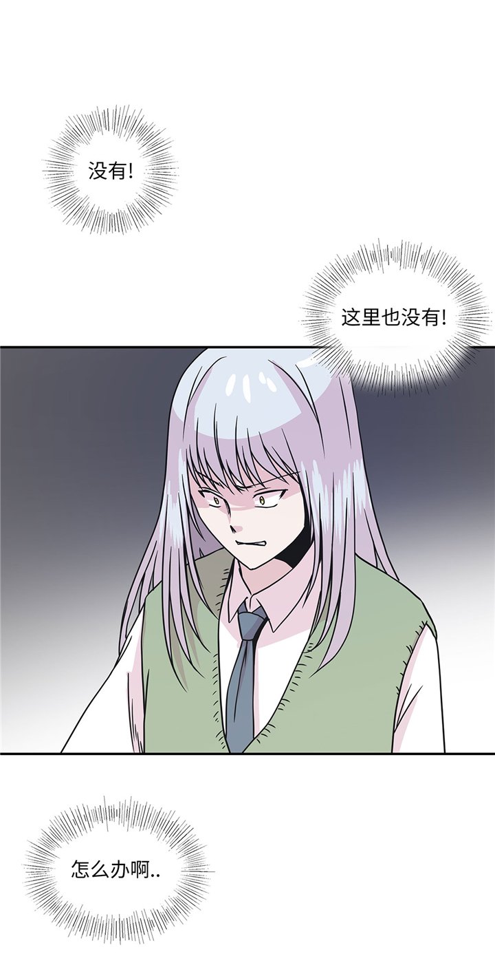 第72章：龙的力量