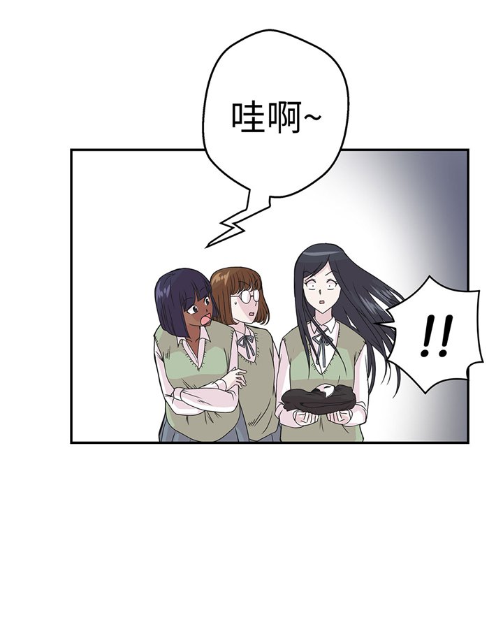 第74章：真是搞笑