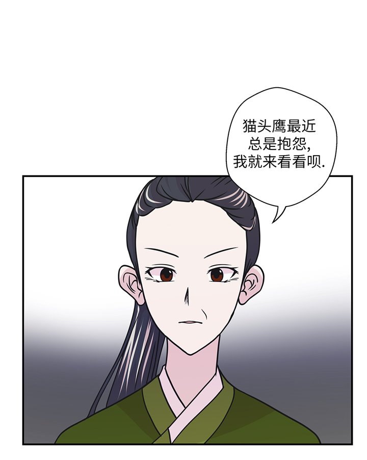 第77章：庆典前夕