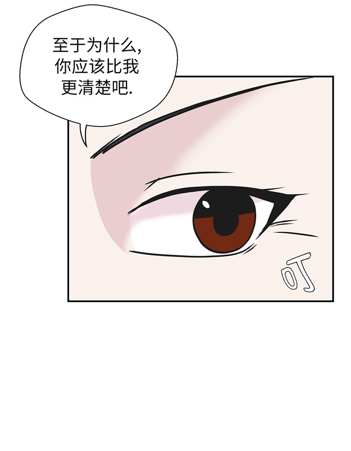 第77章：庆典前夕