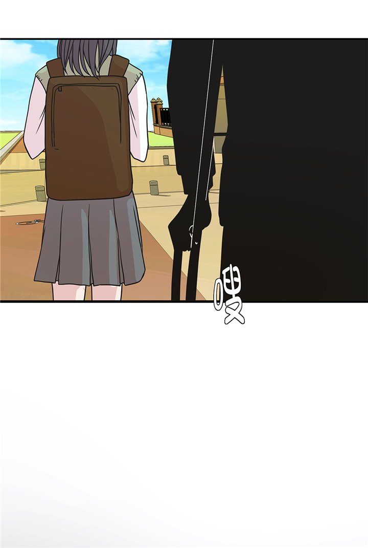 第77章：庆典前夕