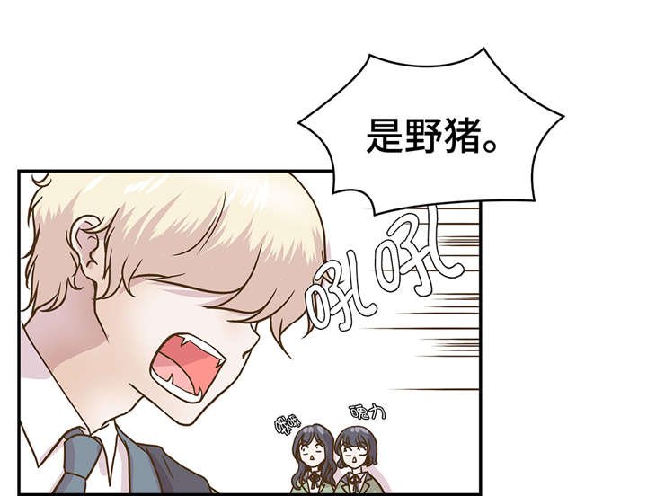 第8章：展示能力吧(上)