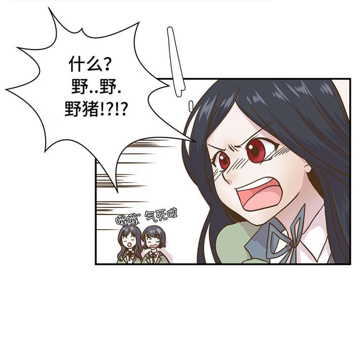 第8章：展示能力吧(上)