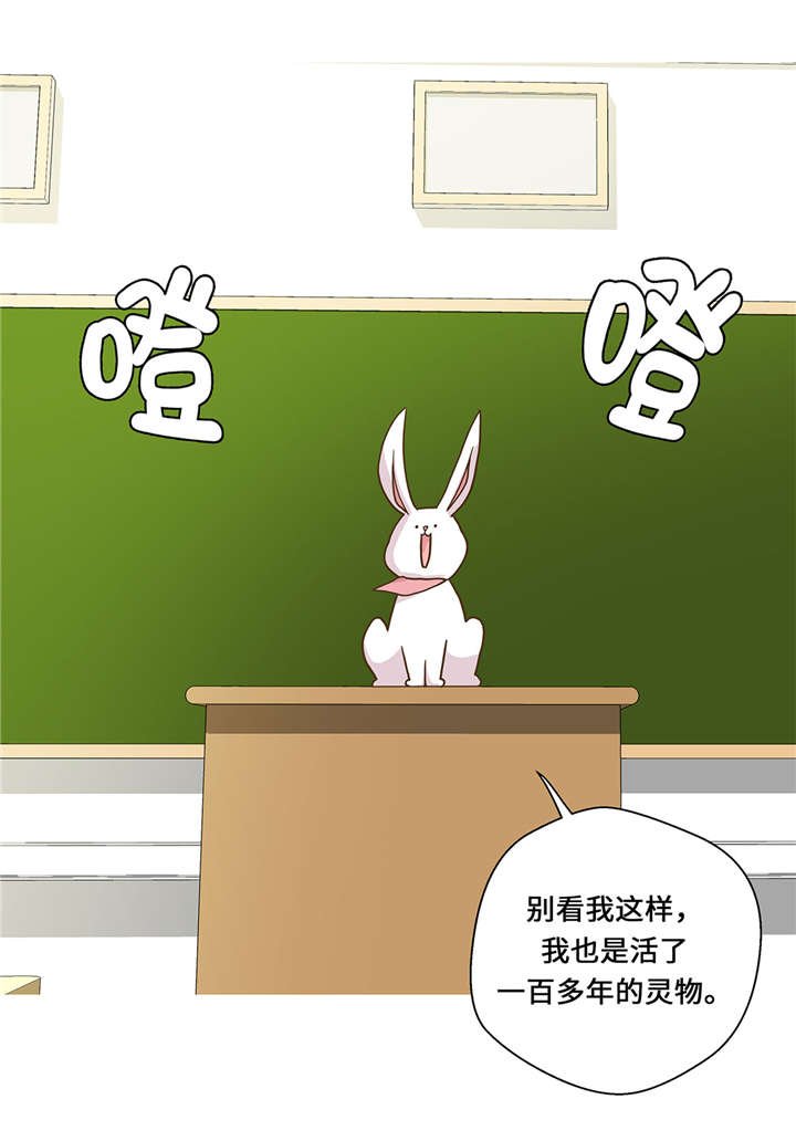第8章：展示能力吧(上)