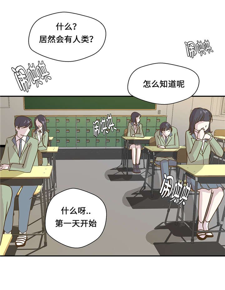 第8章：展示能力吧(上)