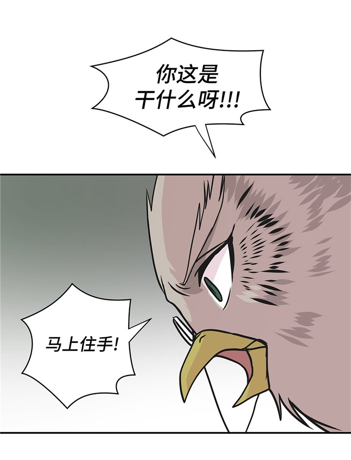 第81章：会场袭击