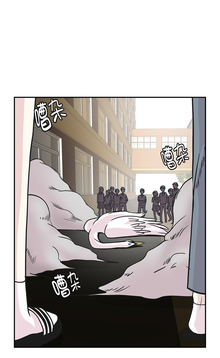 第81章：会场袭击