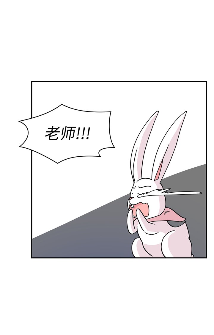 第82章：莱昂的力量