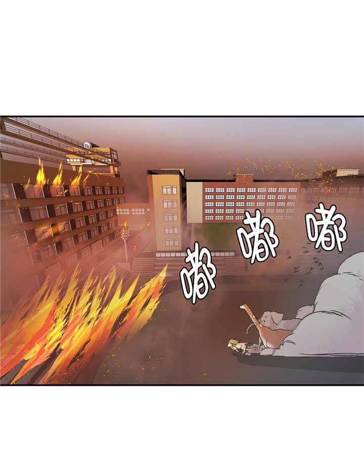 第90章：你这只笨狗！