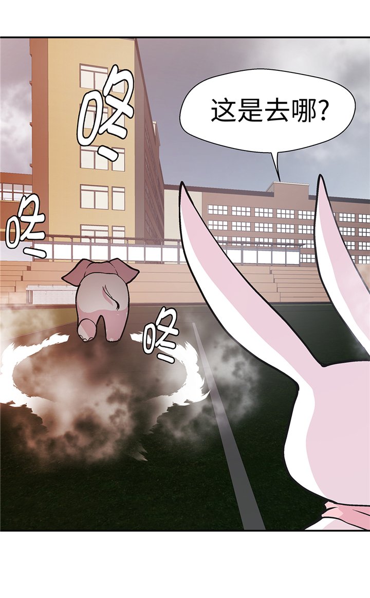 第90章：你这只笨狗！