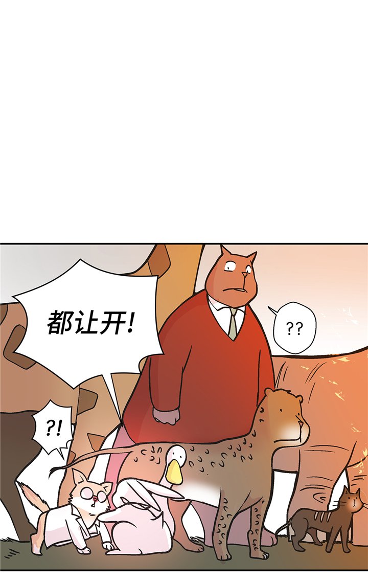 第90章：你这只笨狗！