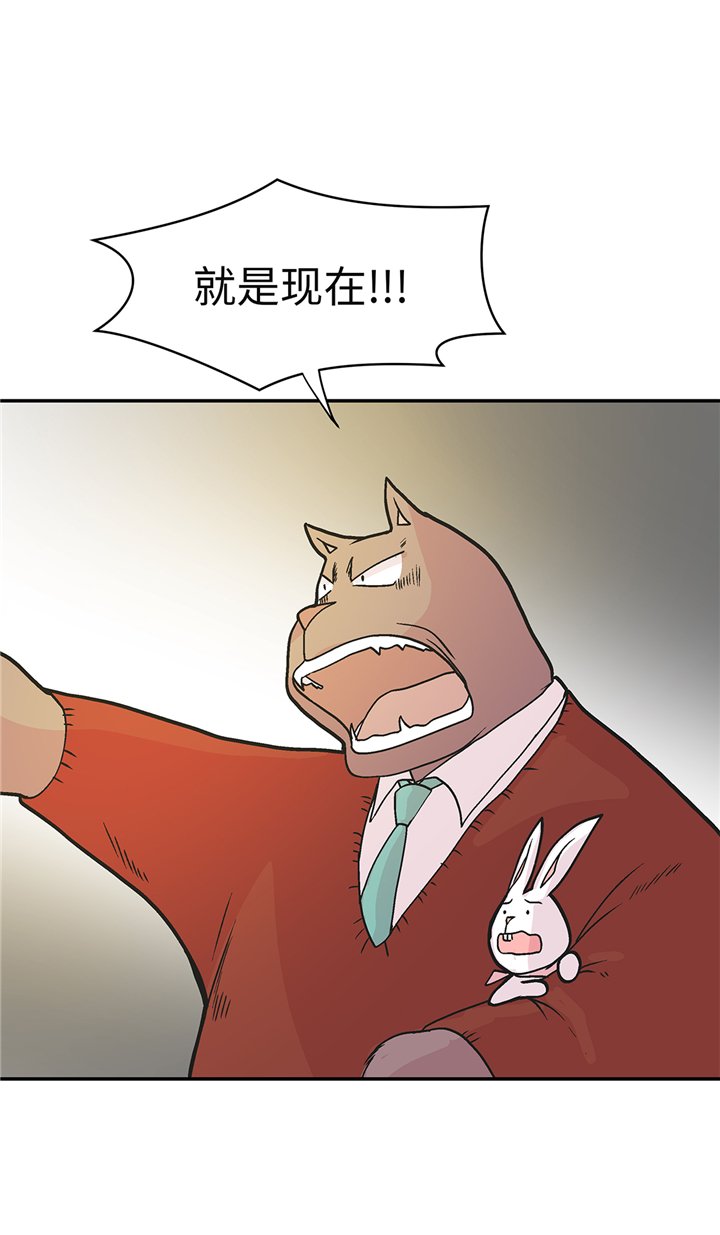 第91章：不要放弃，如意！