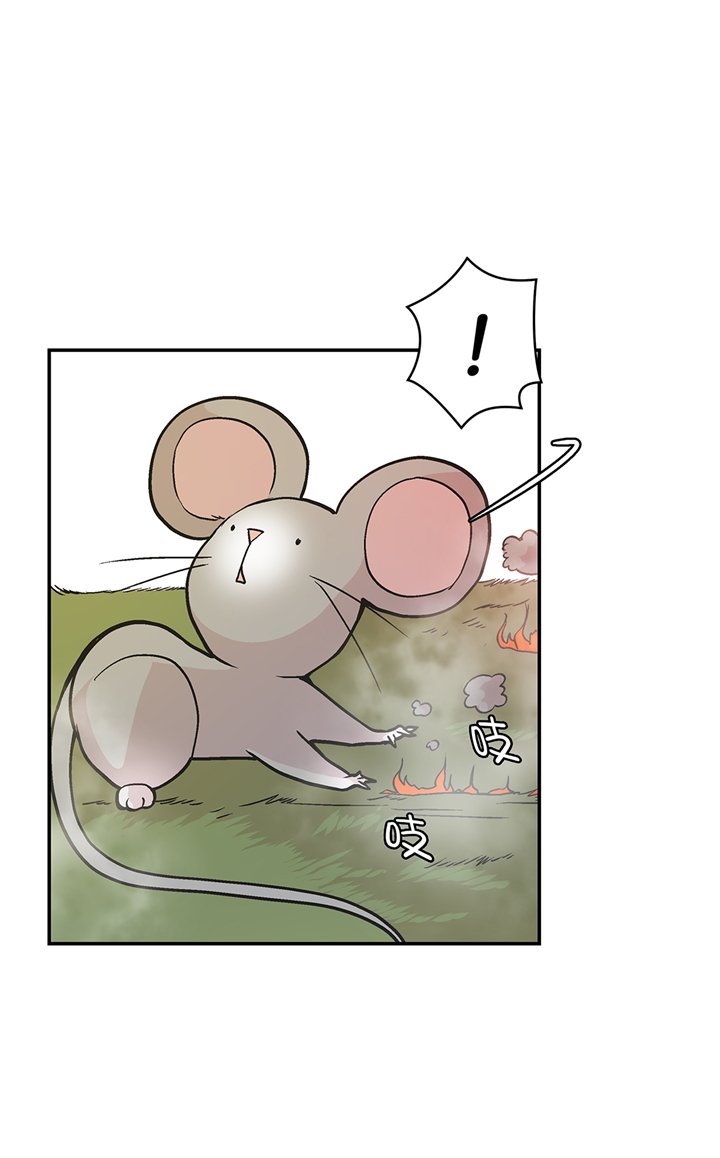 第92章：你真傻