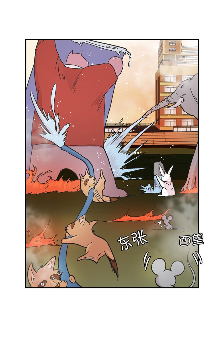 第92章：你真傻