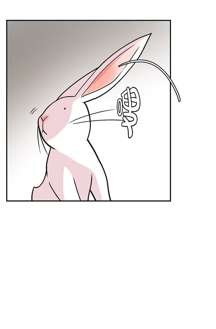 第95章：大结局