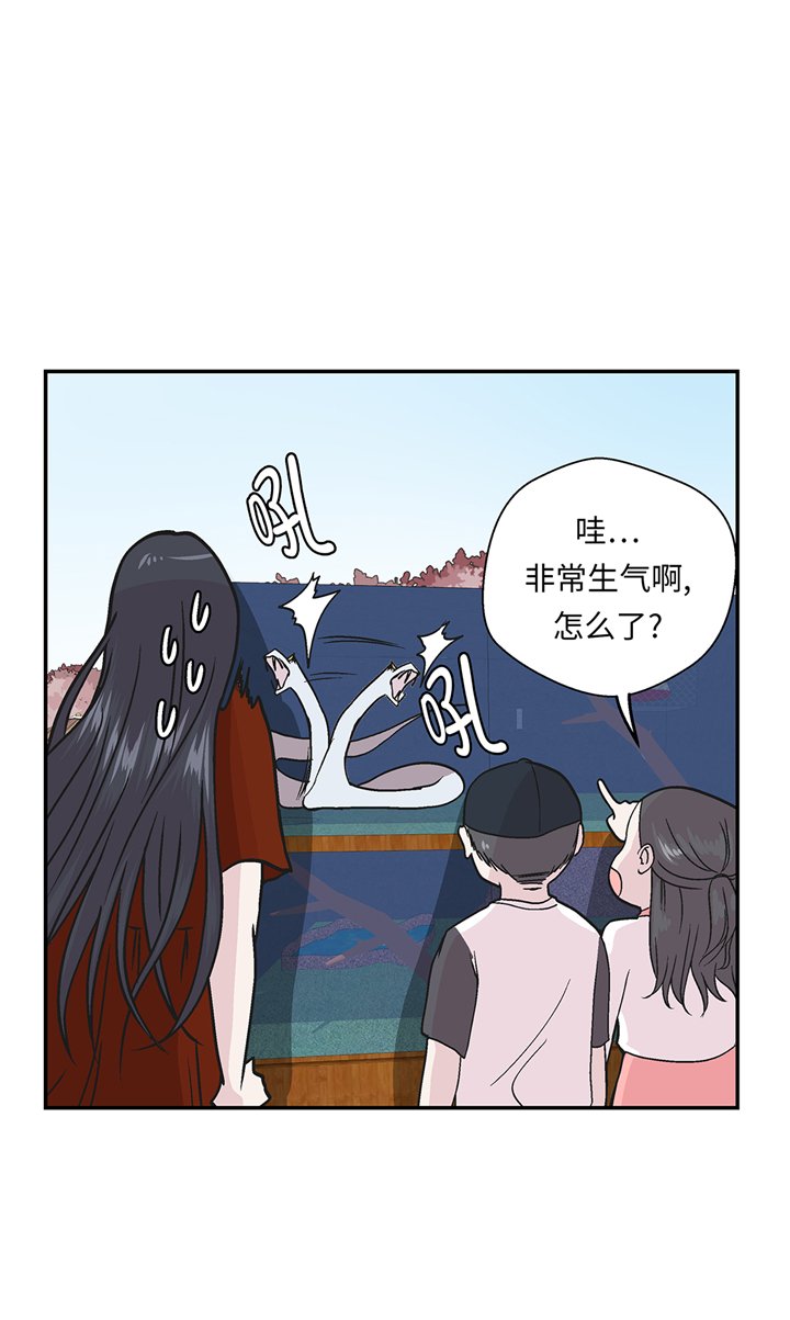 第95章：大结局