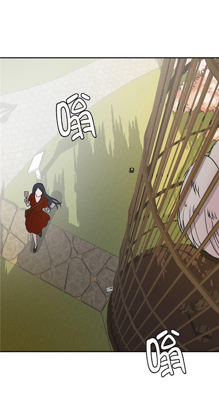 第95章：大结局