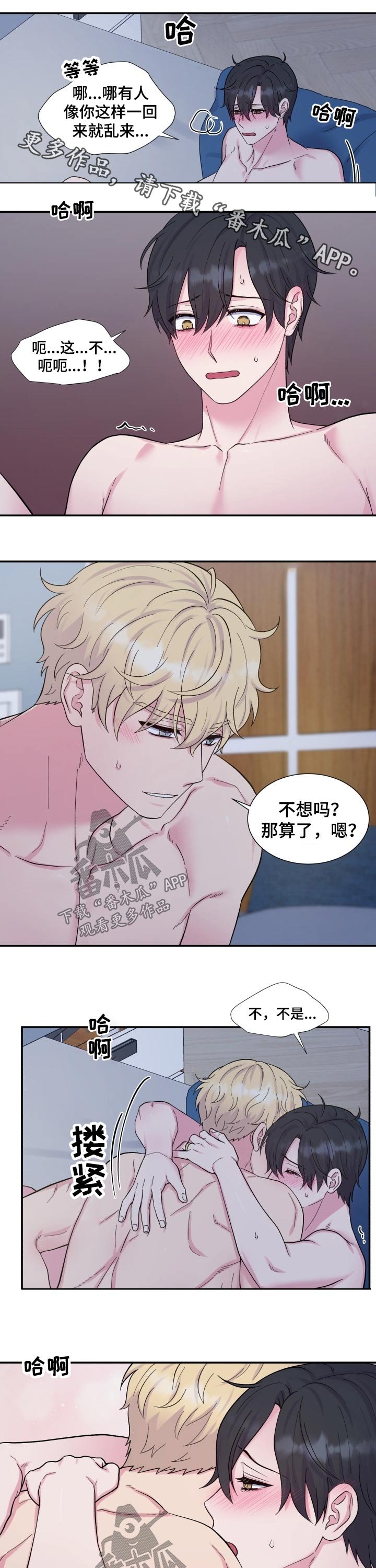 第192章：【番外】来电
