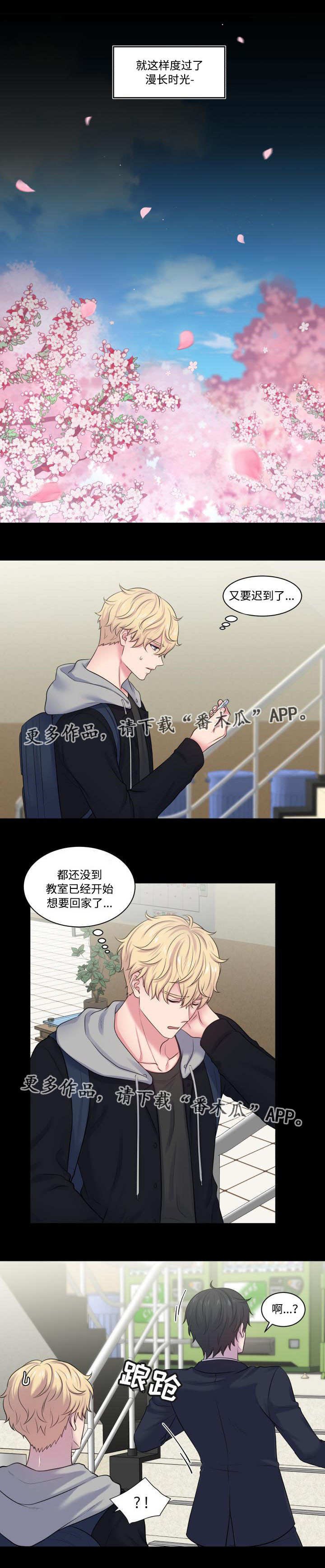 第30章：一见钟情