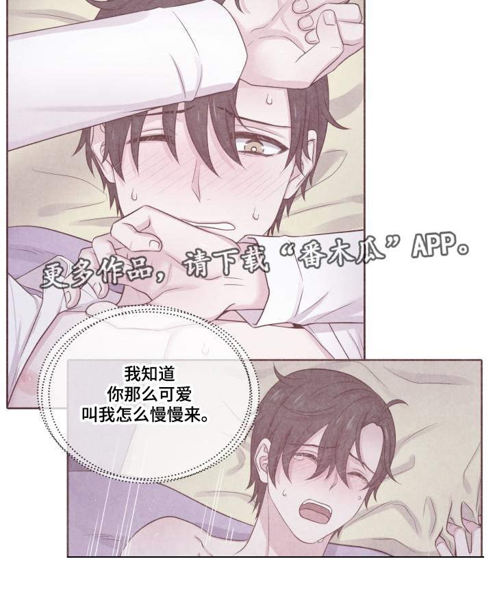 第66章：什么答案
