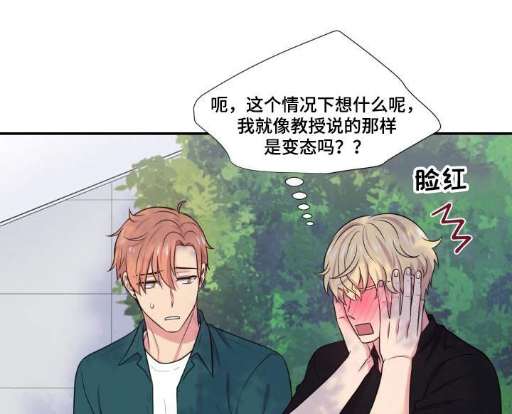 第66章：什么答案