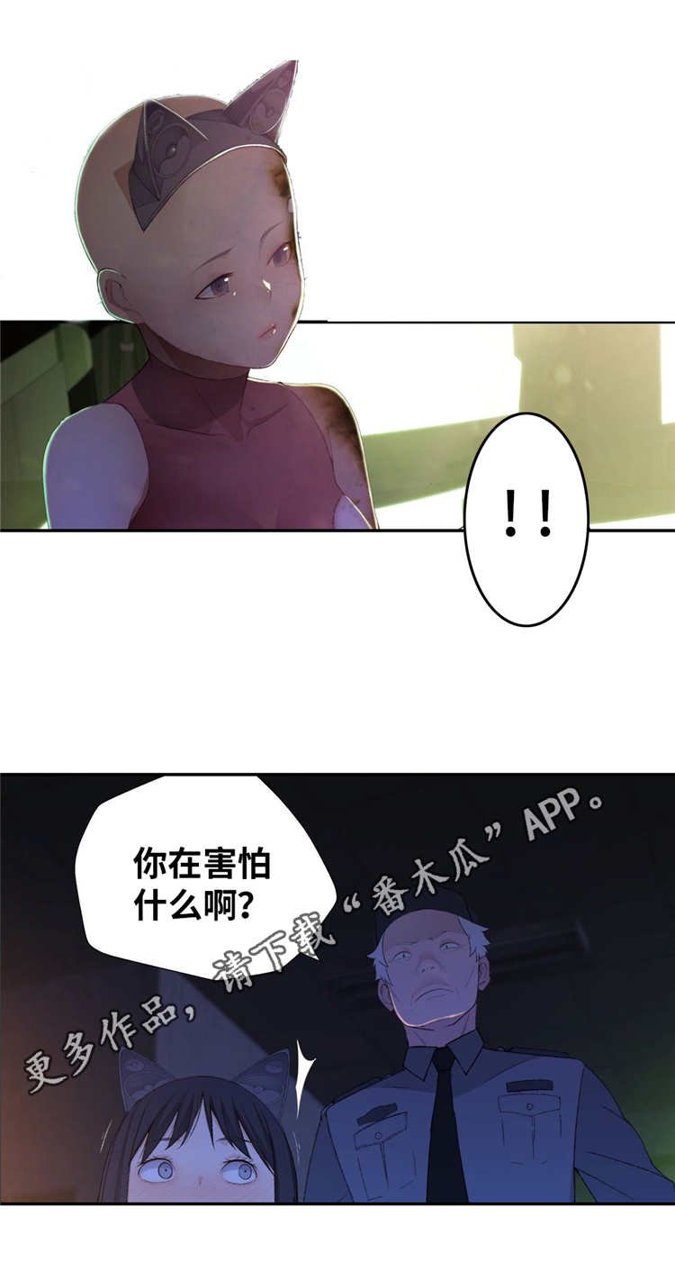 第10章：业余爱好