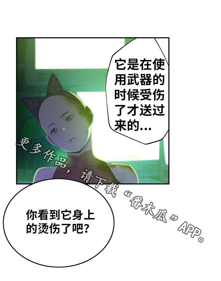 第11章：想起来了
