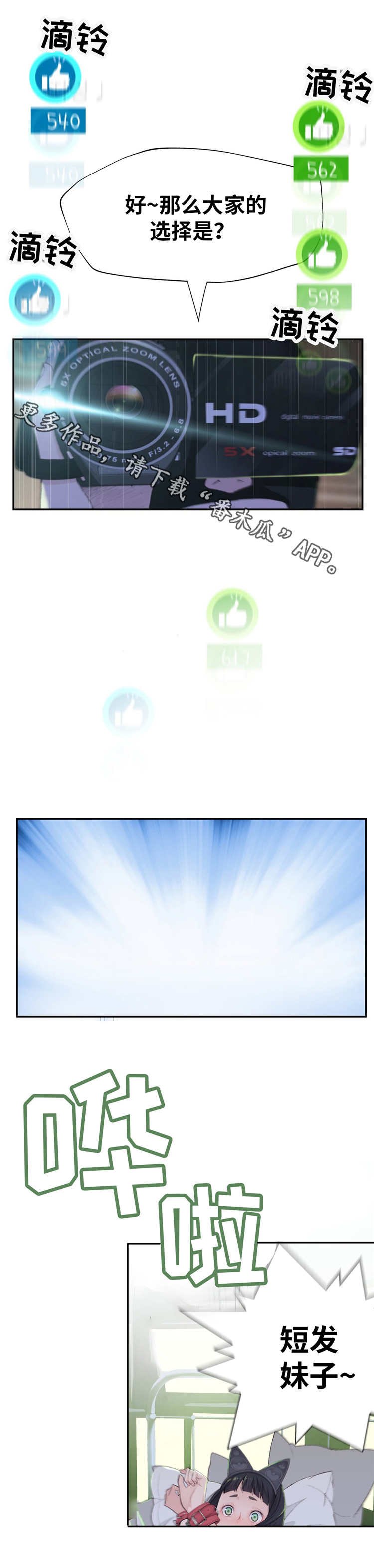 第12章：投票