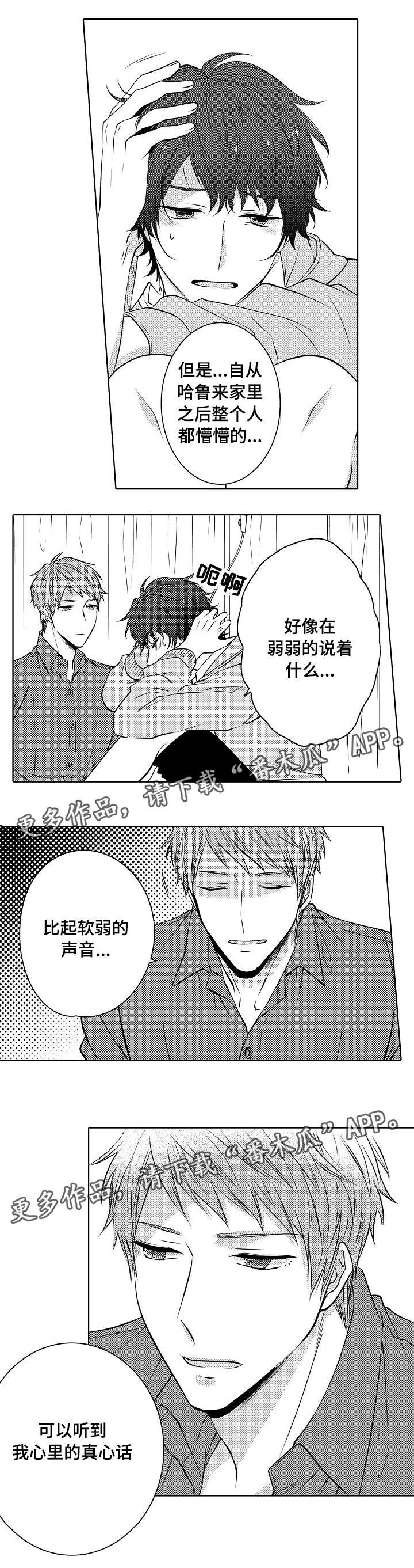 第19章：定心