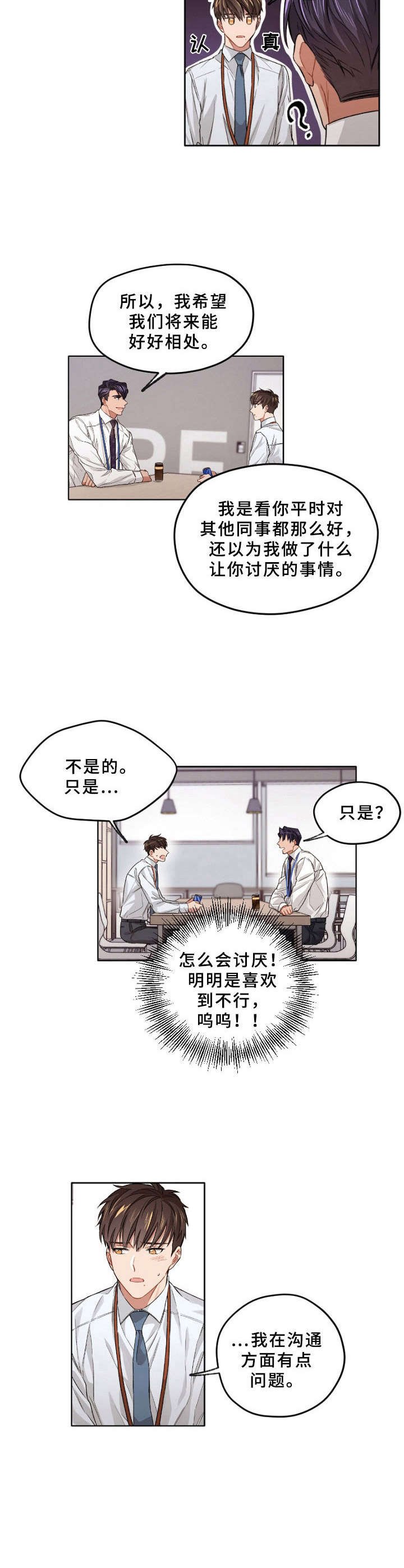 第13章：解释