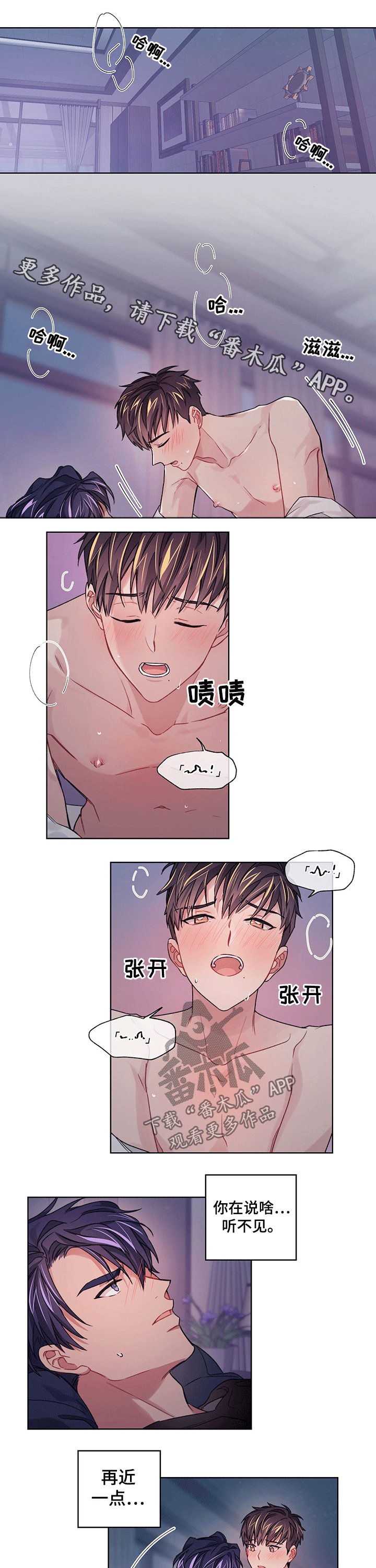 第29章：体验