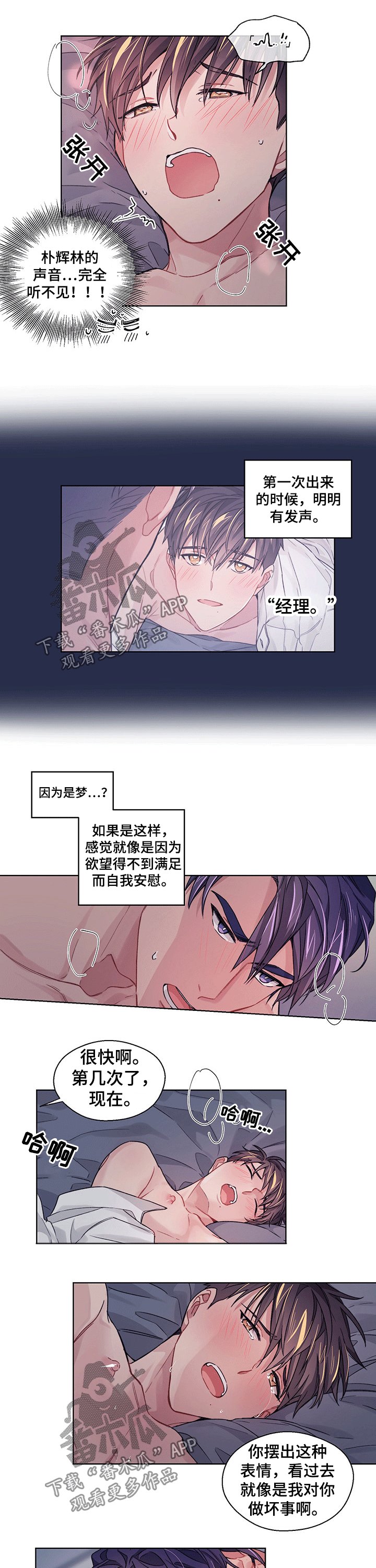第29章：体验