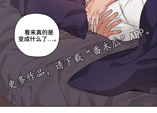 第52章：好好相处 